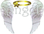 A.N.G.L.E.S