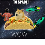 Space doge fan club