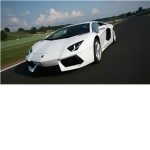 Lamborghini Gallardo Fans