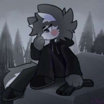 Wilczki willow