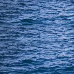 The Rolling Seas
