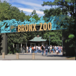 Moneydom1 went to the Bronx Zoo