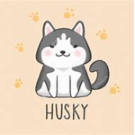 Huskies hangout