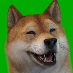 A Ń̸͓͇̘͕͐͊̚͠or̷̢̞̜͇̬͒m̸̱̘̭̓̀̇̈́̑a̶̤̩͐̓l Doge City?