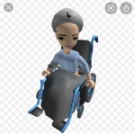 Wheel laddies