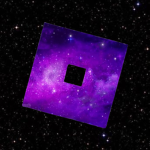 RoUniverse Network