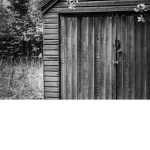 scp game tte