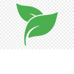 Ivy Devs
