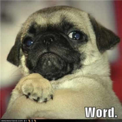 pug saying word dog Roblox decal