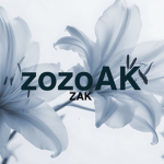 We bury bears _ ZAK
