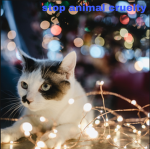 -stop animal cruelty-