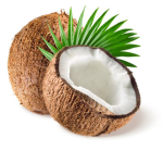 groupe coconut