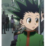 HXH fan, the best hunter ( i give rbx with fund gr