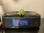 Jim the frog