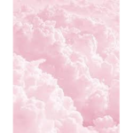 Kayland_33