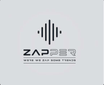 the zapper Roblox group
