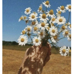 Moon_patato
