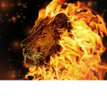 Lionfire