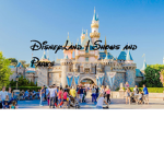 DisneyLand | Shows and Parks