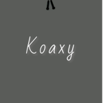 Koaxys hangout!