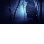 Cold forest