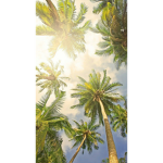 {Palm tree}