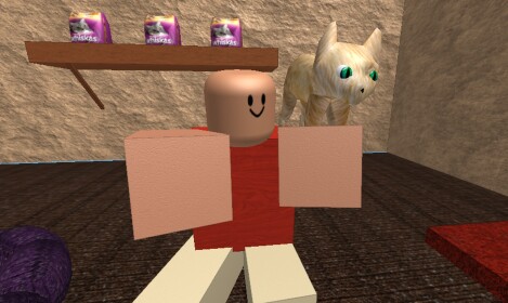 Pet Store Tycoon!