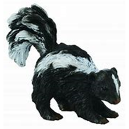 skunk kastle
