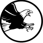 Task Force "Screaming Eagles"