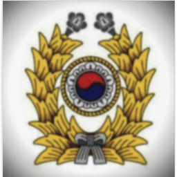 Republic of Korea Army