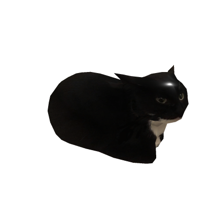 Maxwell The Cat
