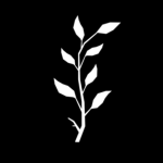 The Black Diamond Organization