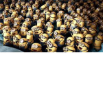 "Minions"