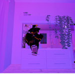 robux grouper