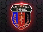 PSF 中国人民解放军特种部队