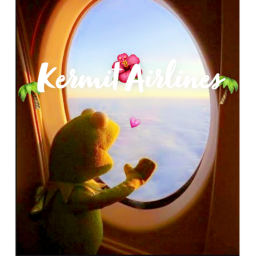 🌴 𝓚𝓮𝓻𝓶𝓲𝓽 🌺 𝓐𝓲𝓻𝓵𝓲𝓷𝓮𝓼 🌴