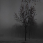 01. Group Thumbnail