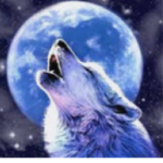 Night Howler Wolves
