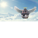 free bobux (friends only)