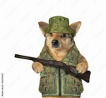 Doggo republic of dogs