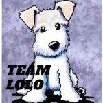 Team Dog Lolo