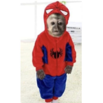 eternitiez