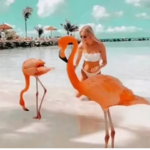sᴜᴍᴍᴇʀᴄʜɪʟʟ ɢʀᴏᴜᴘ