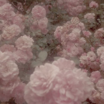 loveliest".