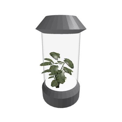 Futuristic plant decor