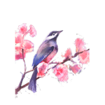 Blossom army 4 ever