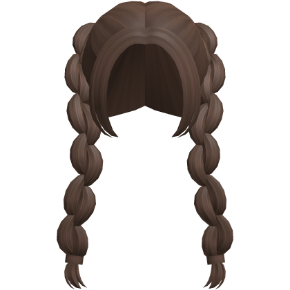 brown adorable picnic braids