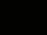 SgGamerXL
