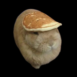 一个