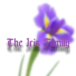 The heather Family